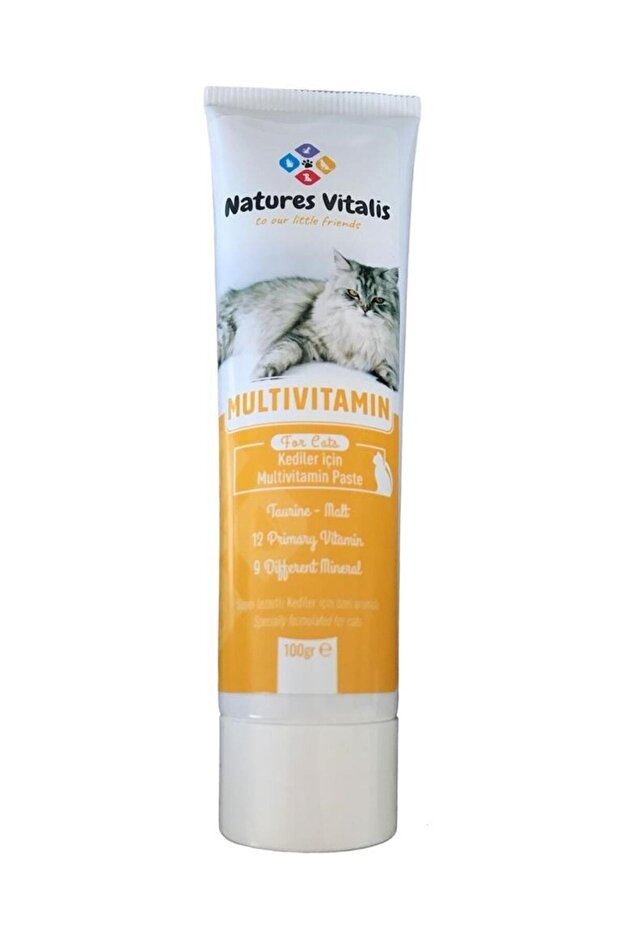 Multivitamin 100 gr Paste - 2