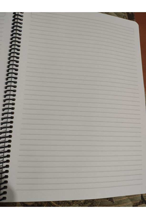 Flex Spiralli Pp Kapak A4- 100 Yaprak Çizgili Defter Pastel Renkler - 2