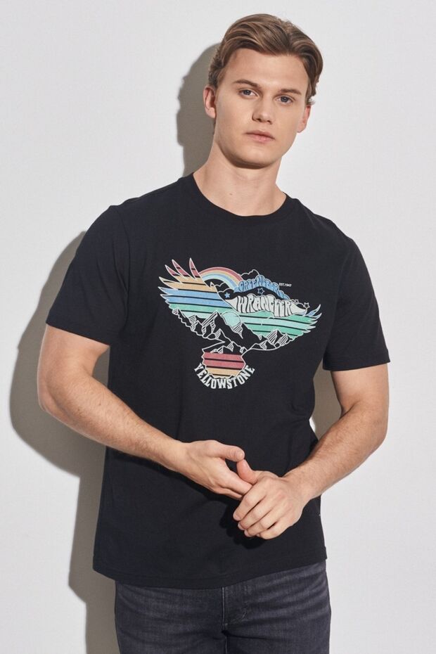 Regular Fit Normal Cut 100% Cotton Crew Neck Black T-Shirt