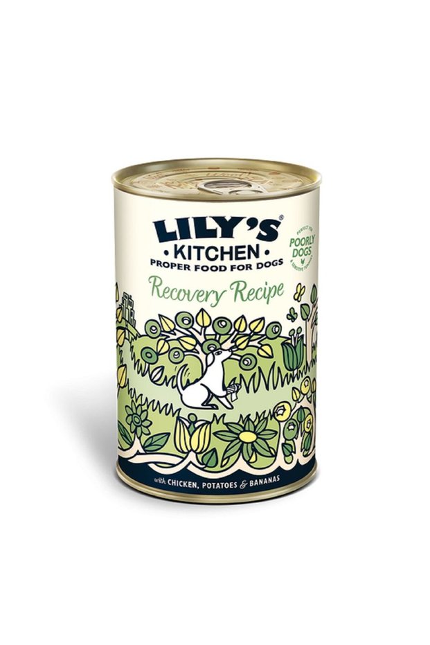Recovery Recipe Wet Dog Food with Chicken, Potato & Bananas, 400g