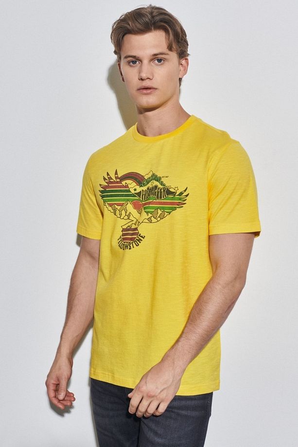 Regular Fit Normal Kesim %100 Pamuk Bisiklet Yaka Sarı Tişört - 3