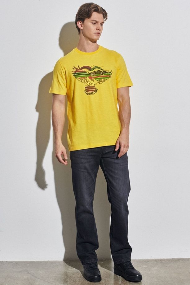 Regular Fit Normal Kesim %100 Pamuk Bisiklet Yaka Sarı Tişört - 5