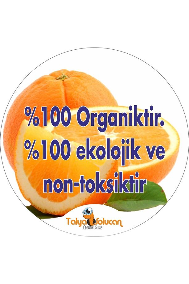 Hazır Set Süs Bitkileri Saksı Salon Balkon Hobi Sebze Meyve Çiçekler İçin 3 kg Toz + 1 lt Sıvı - 5