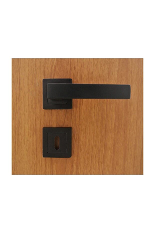 Zigana Mat Siyah Rozetli Kapı Kolu Oda - 2