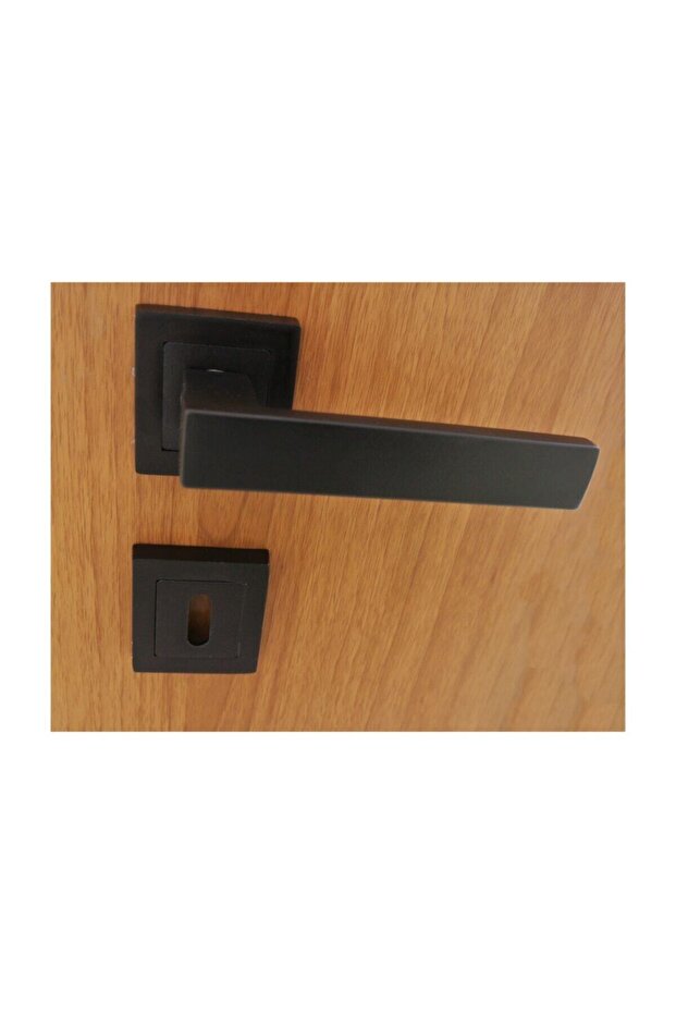 Zigana Mat Siyah Rozetli Kapı Kolu Oda - 5