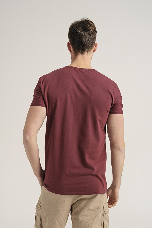 Riley V Yaka Slim Fit Basic Erkek Tshirt - 3