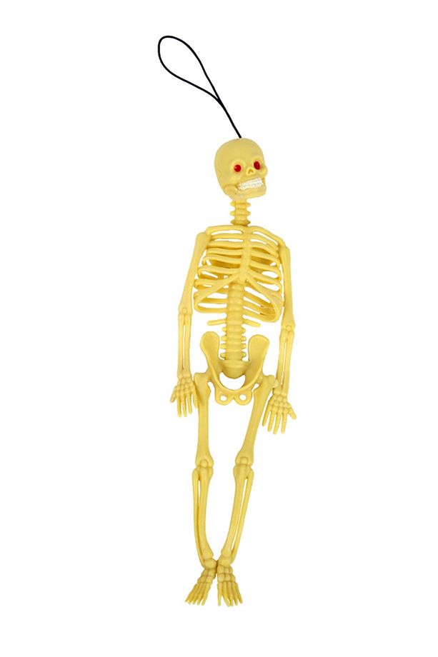 Plastik İnsan İskelet Modeli, Silikon İskelet 20 cm - 1