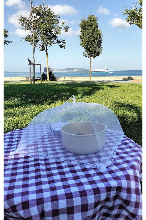 Piknik Seti [File Yemek Çadır+Plastik Yemek Seti+Piknik Örtüsü], Kamp ve Açık Hava Aktiviteleri İçin - 3
