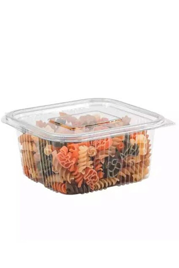 500cc 25 Pieces Leak Proof Container - Disposable Container