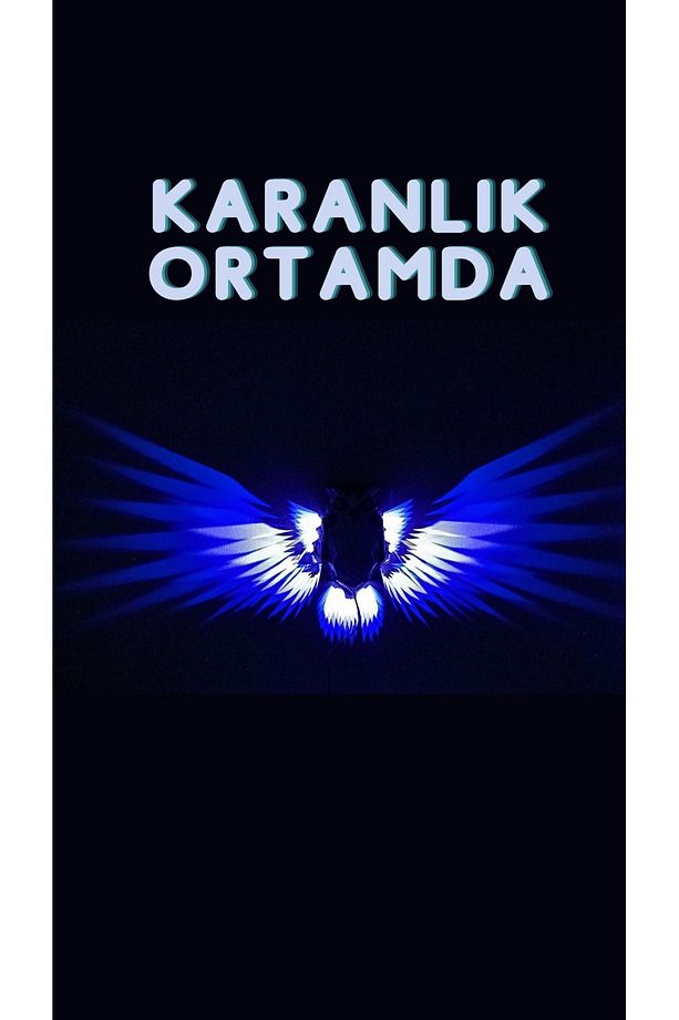 Baykuş Duvar Gece Lambası 12V 1A Adaptörlü Uzun Ömürlü - 4