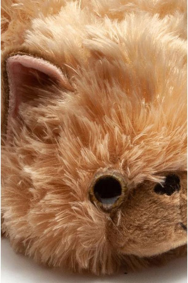 Tw Kedi-2 Kadın Hayvanlı Panduf Yy0306 - 3