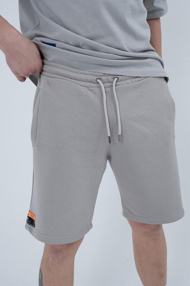 Basic Gri Regular Fit Erkek Şort - 5