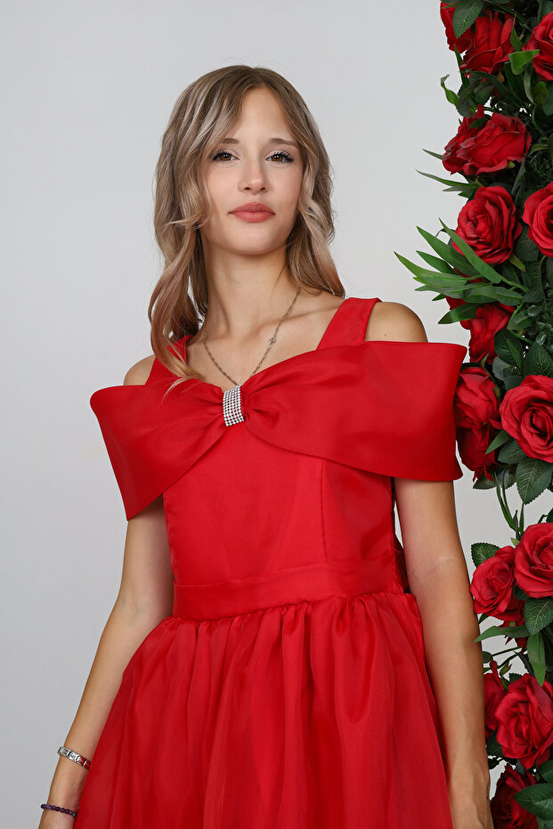 Çocuk Doğum Günü Parti Elbisesi Abiye Elbise - 4