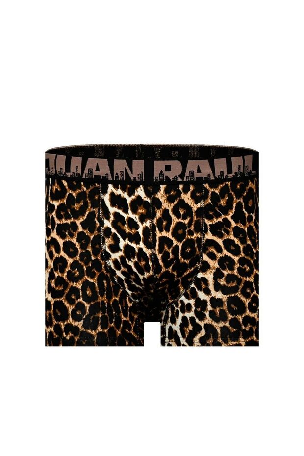 الملاكمين الرجال منقوشة - 1