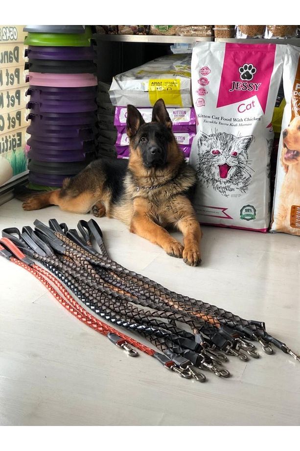 Ekonar Büyük Kampanya Deri Örgü Deri Köpek Gezdirme Ipi - Sevk Kayışı - Gezdirme Tasması - 4