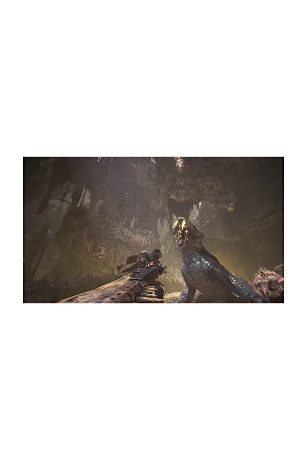 Ps4 Monster Hunter: World Oyun - 7