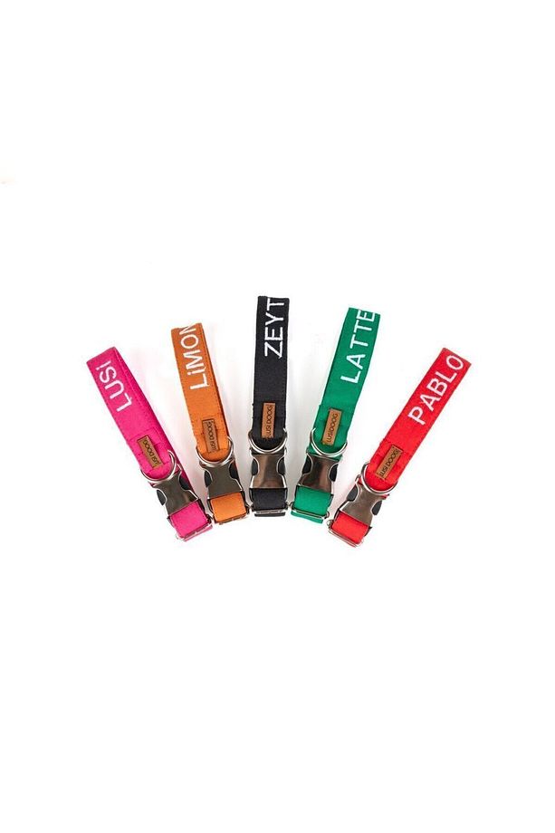 Kişiye Özel Köpek Boyun Tasması Isme Özel Köpek Tasması Isimli Köpek Tasması (PEMBE) - 8
