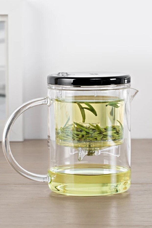 Brewy Tea - 350 ml Borosilicate Glass French Press