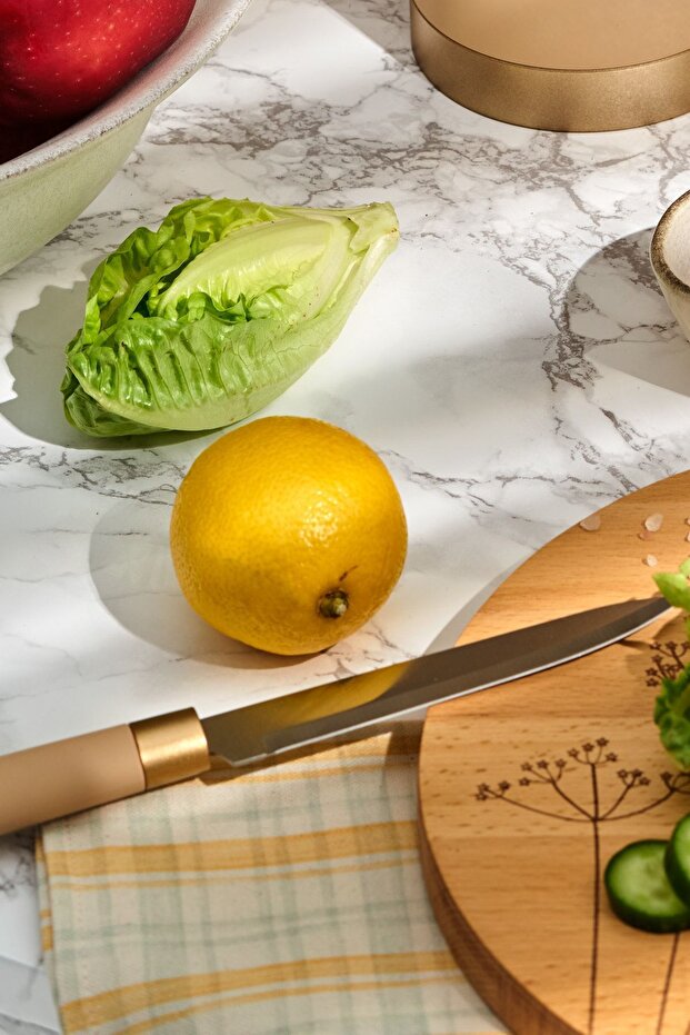 Birch 6 Parça Standlı Bıçak Seti - 2