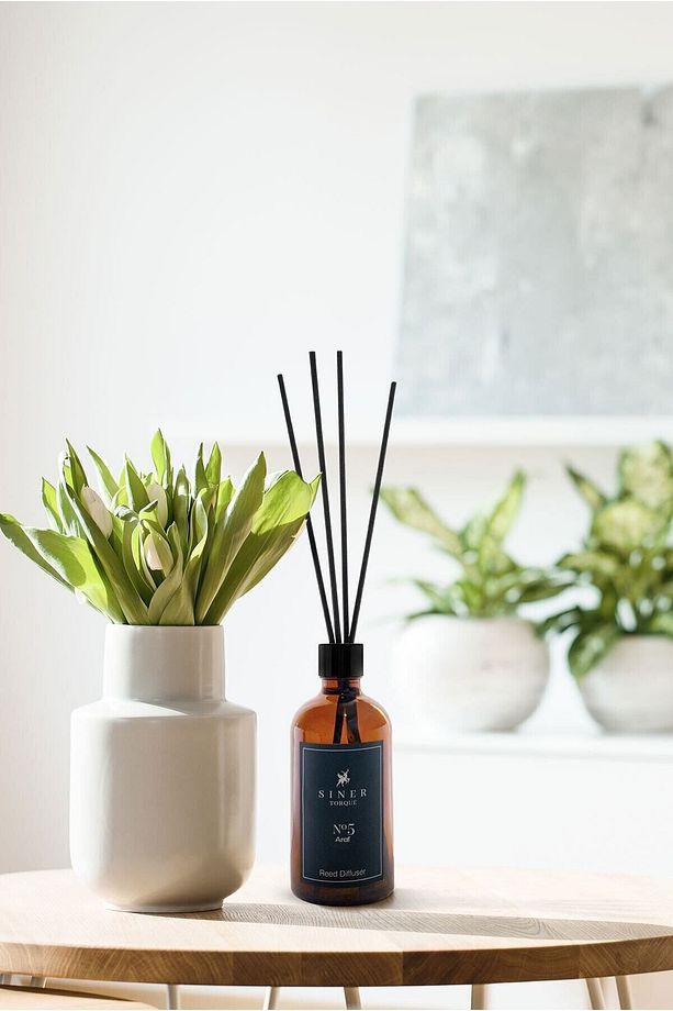 Reed Diffuser No 5 Araf Bambu Çubuklu Oda Kokusu Kötü Koku Giderici Formül - 2