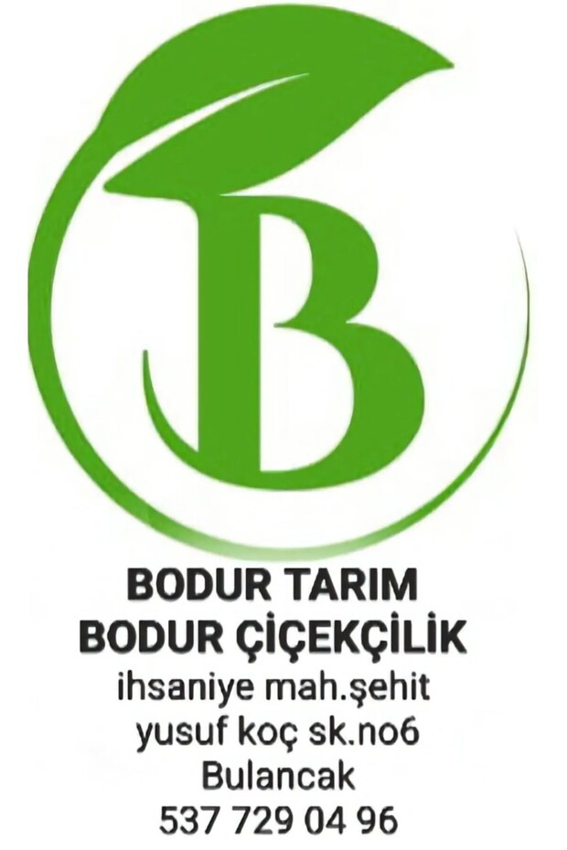 Bulancak 2 Yaşında Yarı Bodur Doku Kültürü Tüplü Topraklı 7 Veren Mayhoş Kara Dut Meyve Fidanı - 5