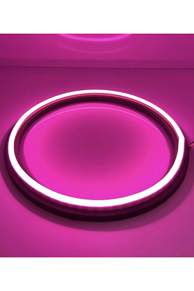Neon Led Midrange Kasnağı 20cm - 1