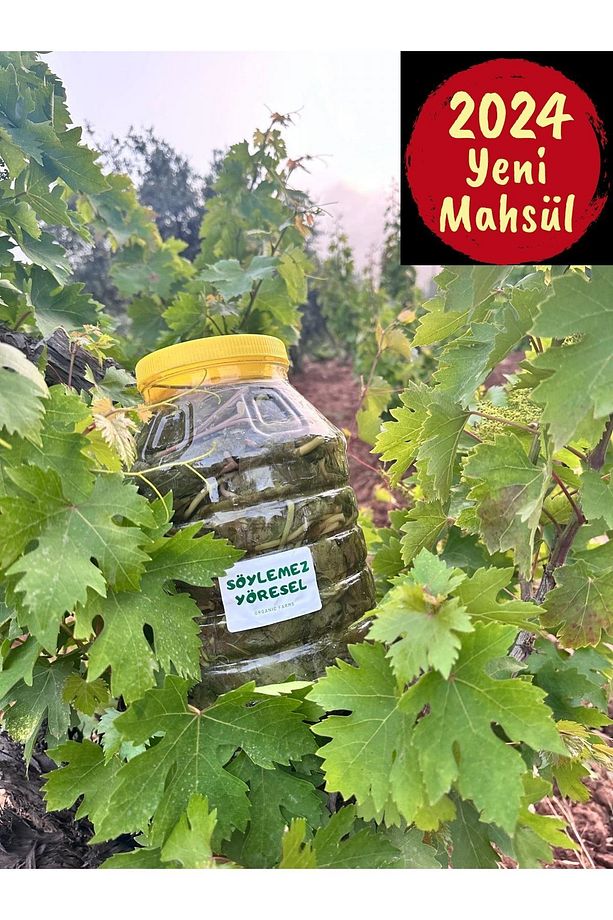 Salamura Bağ Yaprağı Asma Yaprağı 5 Lik Yeni Mahsül - 1
