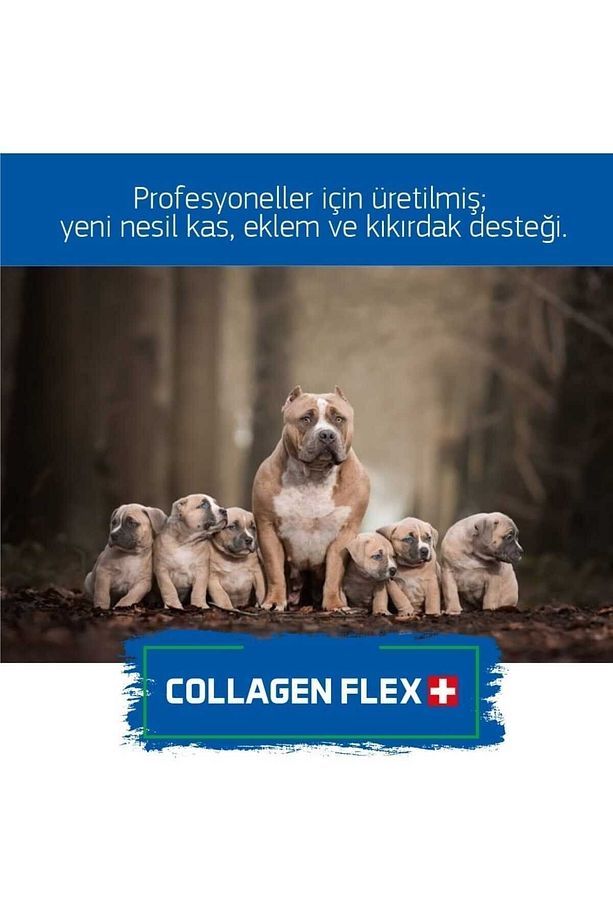 Collagen Flex Orjinal Ve Resmi Patentli, Köpeklerde Ileri Düzey Gelişim Seti. - 5