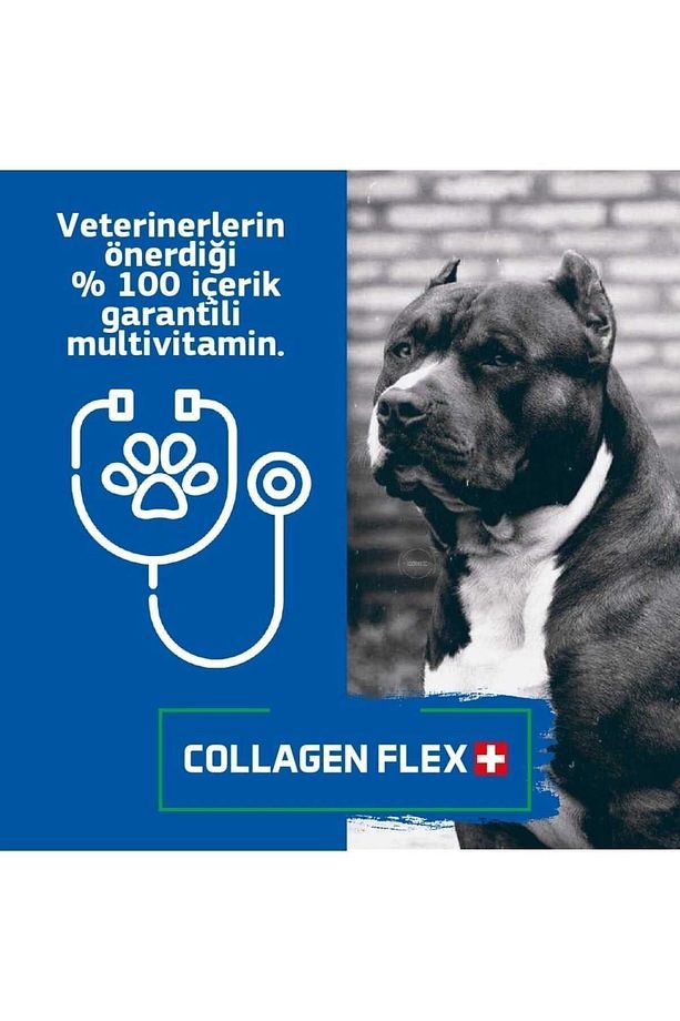 Collagen Flex Orjinal Ve Resmi Patentli, Köpeklerde Ileri Düzey Gelişim Seti. - 4