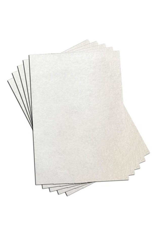 Sc 5481 Model Felt Filter - 2