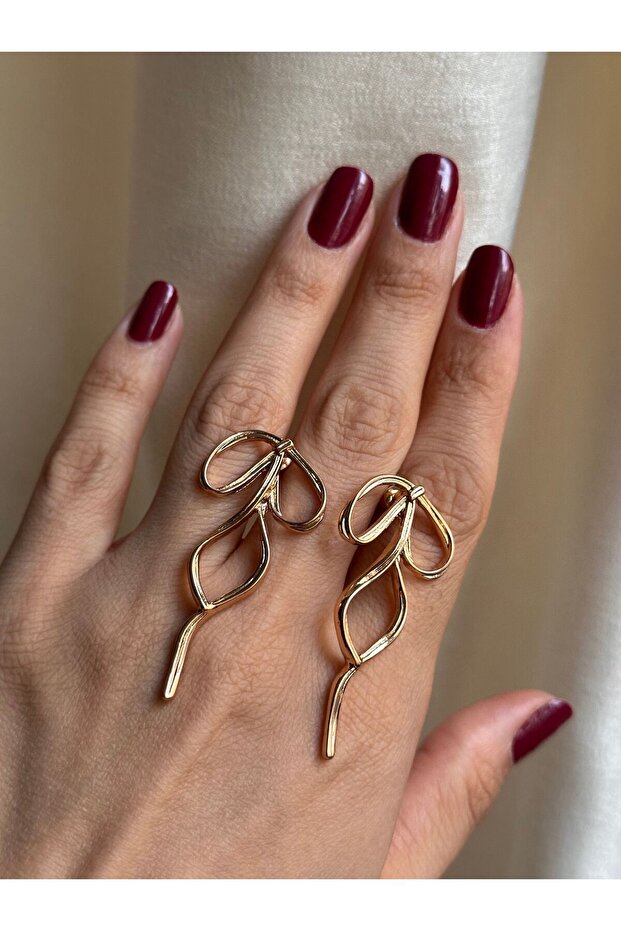 أقراط القوس - 3