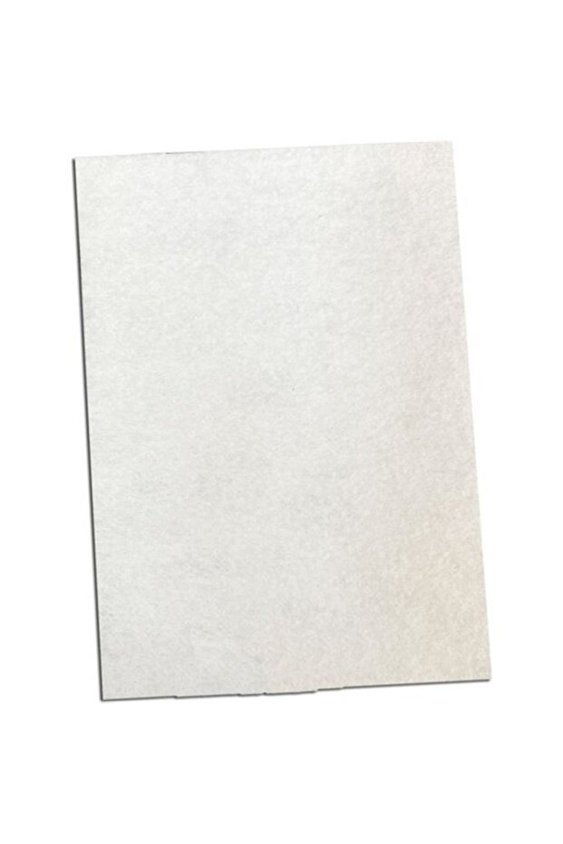 Sc 5481 Model Felt Filter - 1