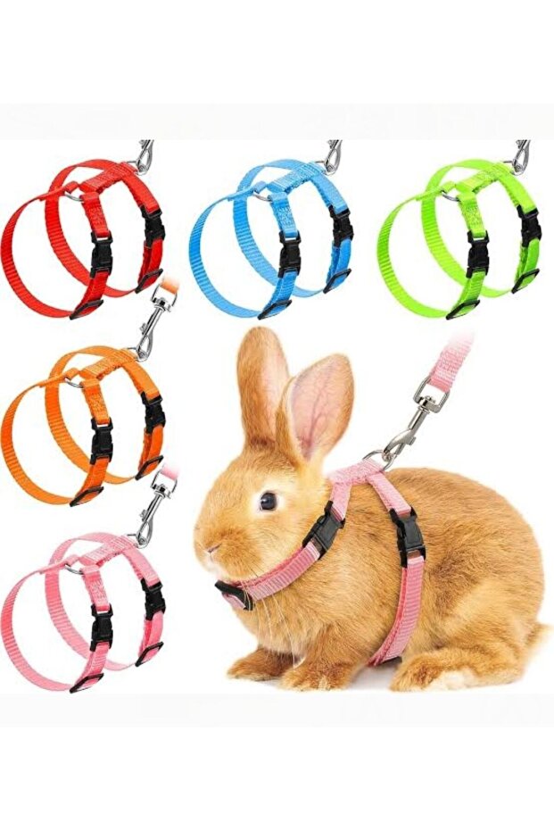 Rabbit Walking Leash Set with Waist and Neck Support