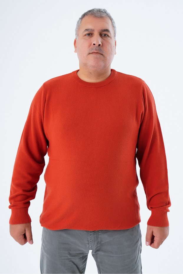 Large Size Men's Tan Crew Neck Rice Knit 100% Cotton Knitwear Sweater Trist-2112