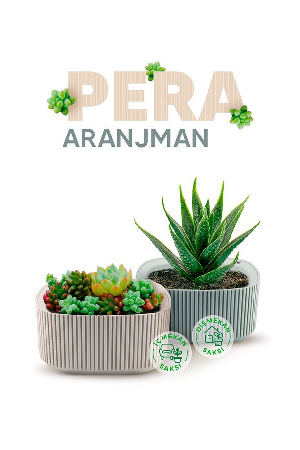 2 Adet Pera Aranjman Mavi Saksı Seti Drenajlı Plastik Çiçek Saksısı Set - 6