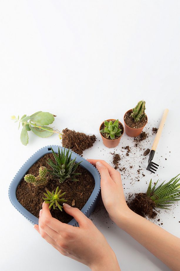 2 Adet Pera Aranjman Mavi Saksı Seti Drenajlı Plastik Çiçek Saksısı Set - 8
