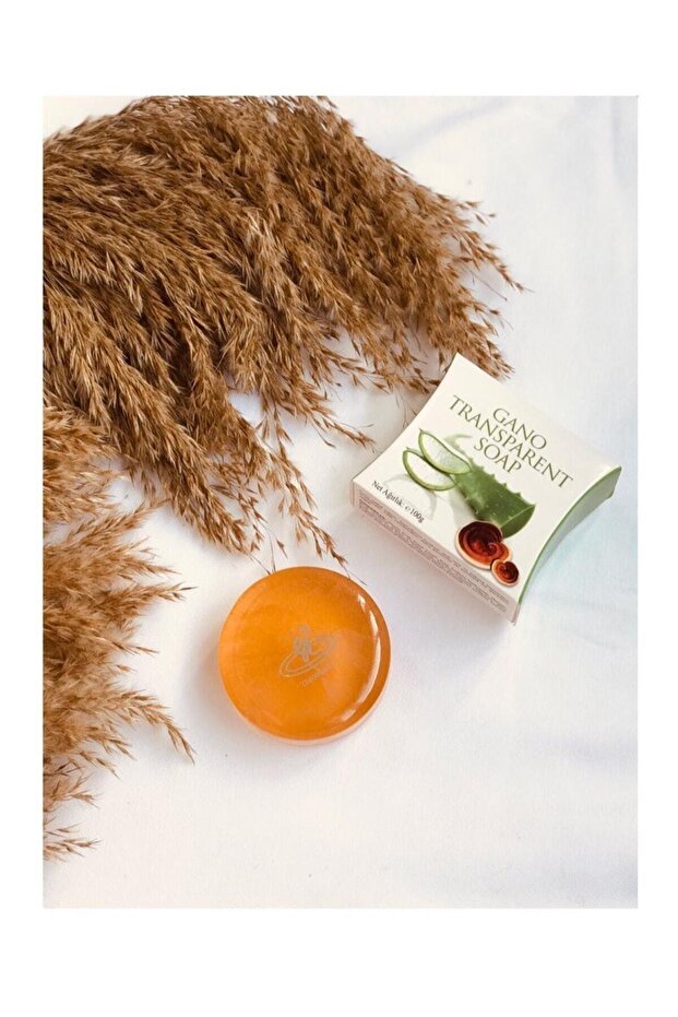 Gano Transparent Soap Derma Transparent Soap with Mushroom