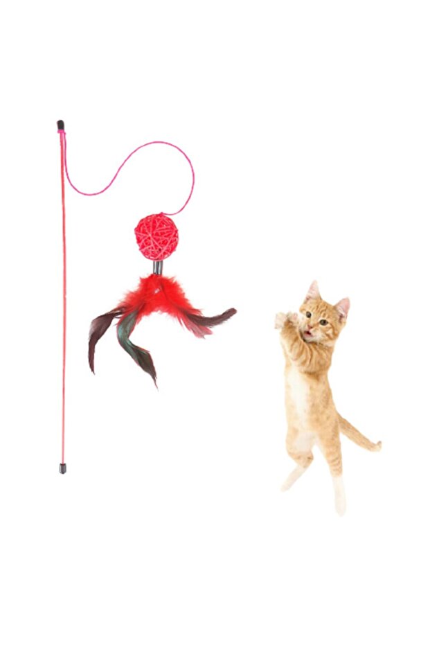 Cat Fishing Rod Feathered Ball 40 cm