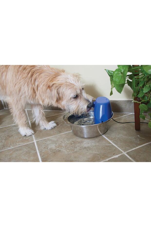 Petsafe Aqua Stream Su Pınarı - 5