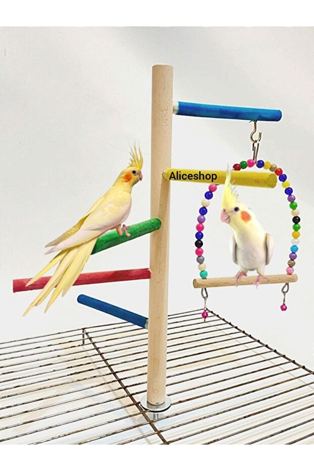 Cage Top Perch Is Suitable for Sultan Parrots and Birds of Similar Size