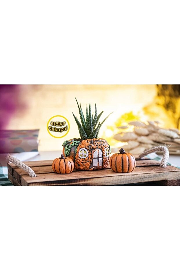 Kabak Ev Mini Saksı - 1