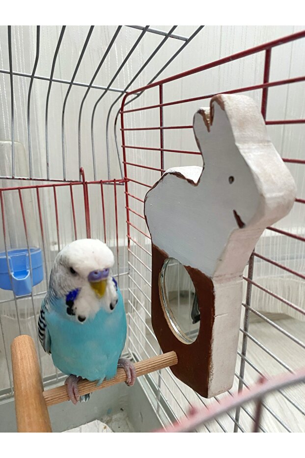 نموذج أرنب أبيض عاكس الطيور جثم - 5