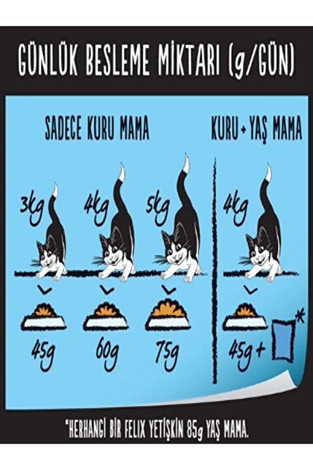 Sığır Etli Yavru Kediler Için Yaş Mama 10 Adet (1x85gr) - 3