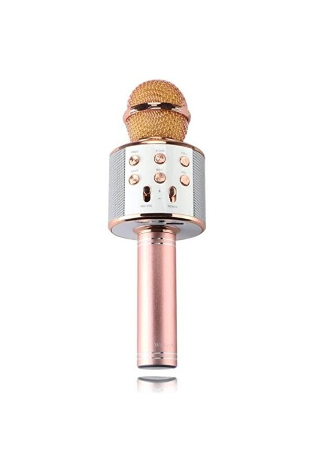 Polygold Ws 858 Blutooth Karaoke - 4