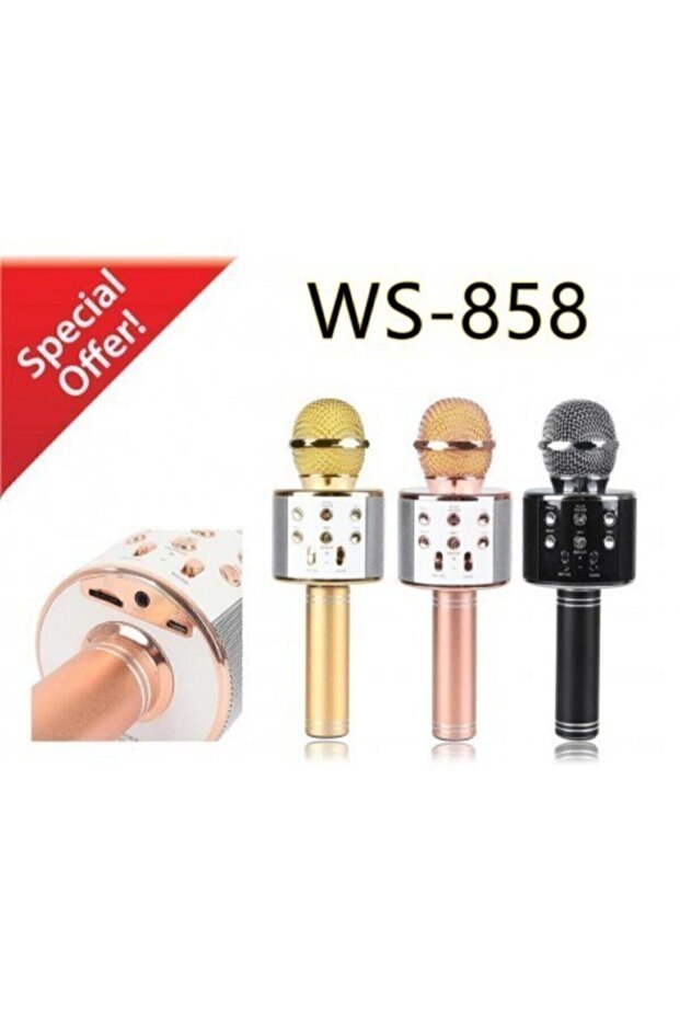 Polygold Ws 858 Blutooth Karaoke - 3