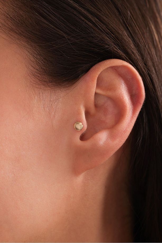 14 Ayar Altın Shell Deniz Kabuğu Tragus Küpe - 1