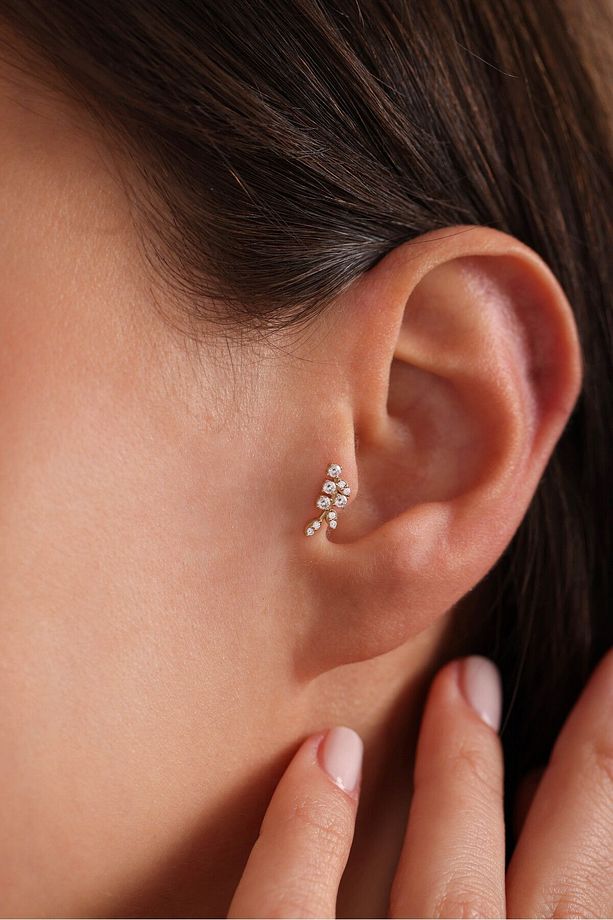 14 Ayar Altın Taşlı Dal Tragus Küpe - 1