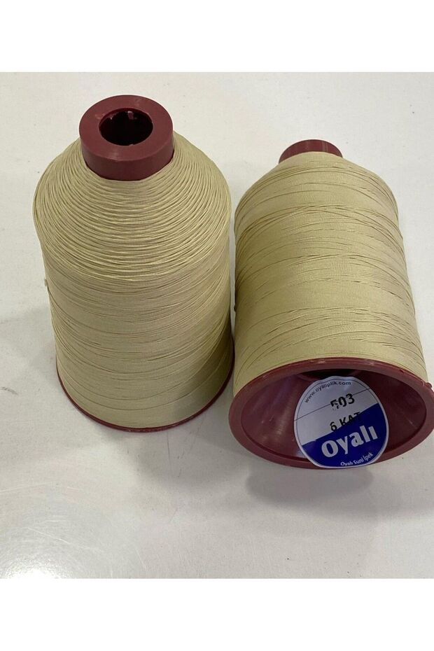 Embroidered Rayon 503 Color Code 200 Grams Lace Thread One Piece Product