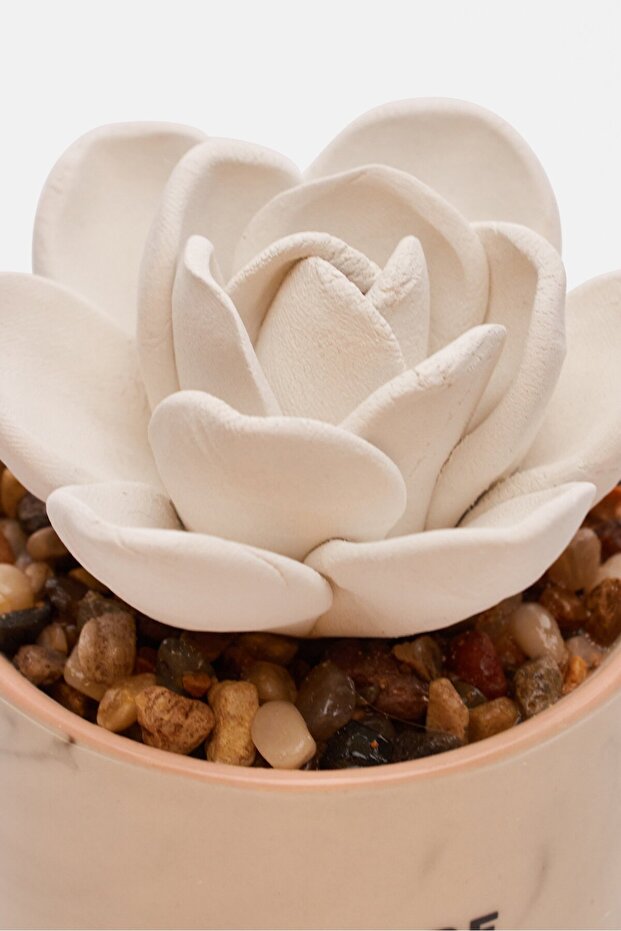 Succulent Oil Diffuser, White Combo - 3