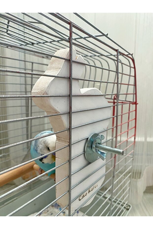 نموذج أرنب أبيض عاكس الطيور جثم - 6